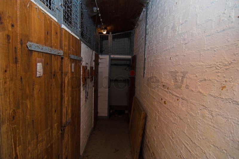 Insgesamt sind 3 voneinander getrennte Boxen für die Wachhunde vorhanden. Durch getrennte Türen wird der Zugang ermöglicht.