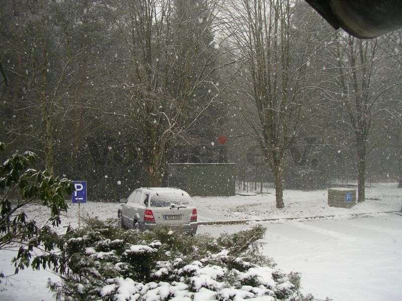 Schneefall auf dem GSVBw-Grundstück.