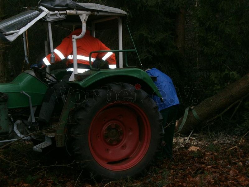 Mit Hilfe des Traktors wurde der umgestürzte Baum vorsichtig aus der Baumkrone gezogen.