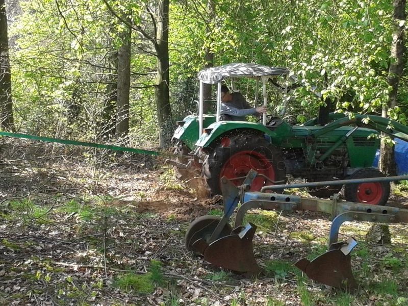 Mit Hilfe unseres Traktors konnten wir den Baum aus dem Zaunbereich entfernen. Somit besteht keine Gefahr mehr für die denkmalgeschützte Zaunanlage (Objekt 8).