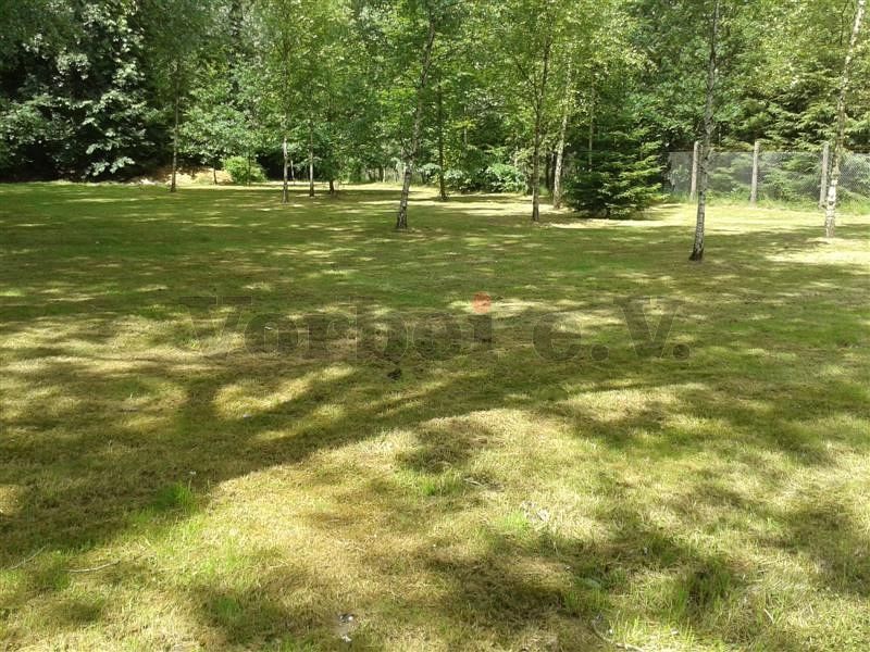 Sehr gepflegt: Eine Rasenfläche auf dem GSVBw-Grundstück nach dem Rückschnitt.