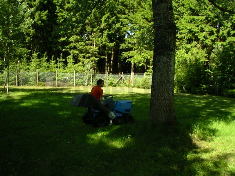 Die Pflege der Grünflächen auf dem GSVBw-Gelände beansprucht viel Zeit.