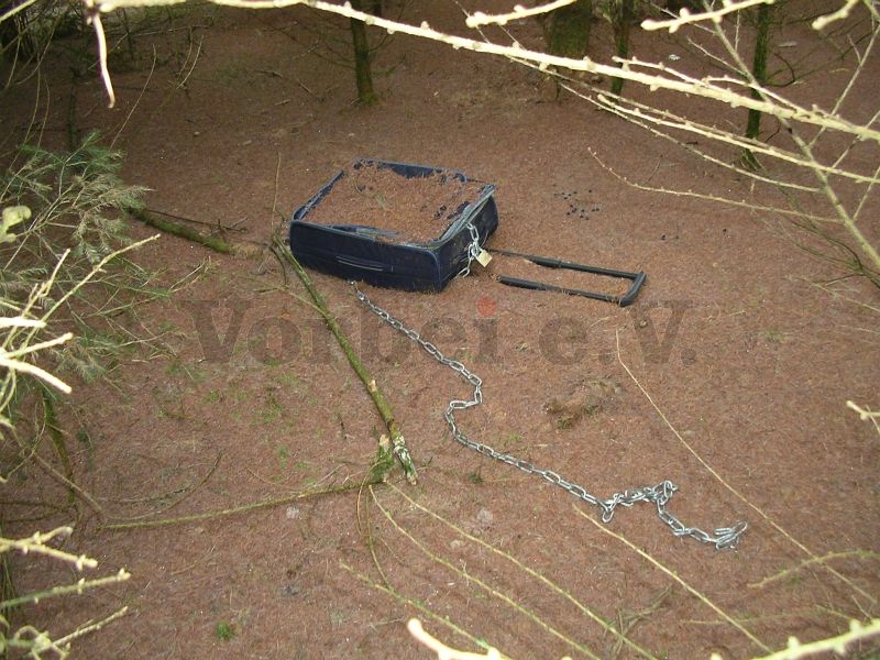 Kurioser Fund im Wald: Ein mit Beton ausgefüllter Rollkoffer (Trolley) wurde mit einer Kette und einem Vorhängeschloss versehen.