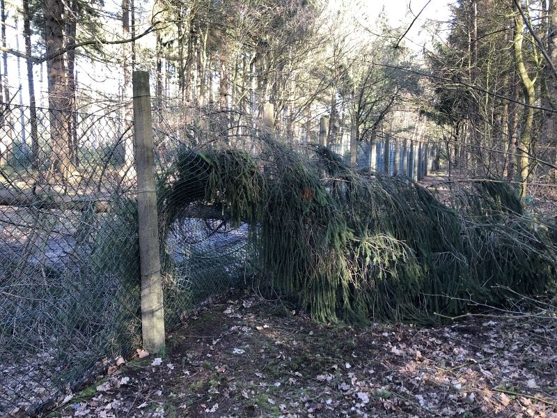 Das Foto zeigt einen Baum, der ist in die denkmalgeschützte Zaunanlage (Objekt 8) der GSVBw 22 Elmlohe gestürzt ist und so für Schaden gesorgt hat.