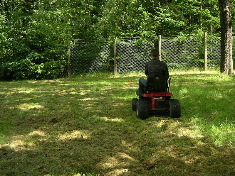 Der Aufsitzmäher erleichtert die Pflege der großen Rasenflächen auf dem GSVBw-Gelände.