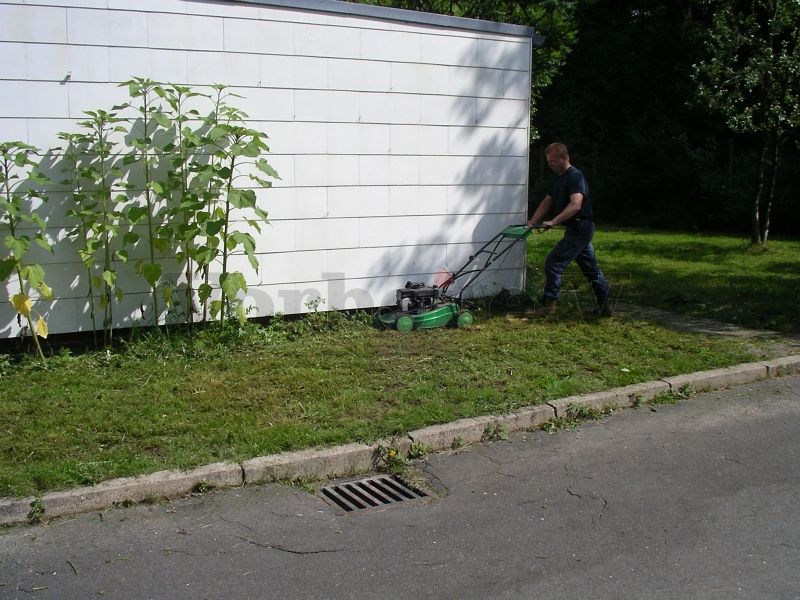 Pflege der Grünfläche an der Garage.