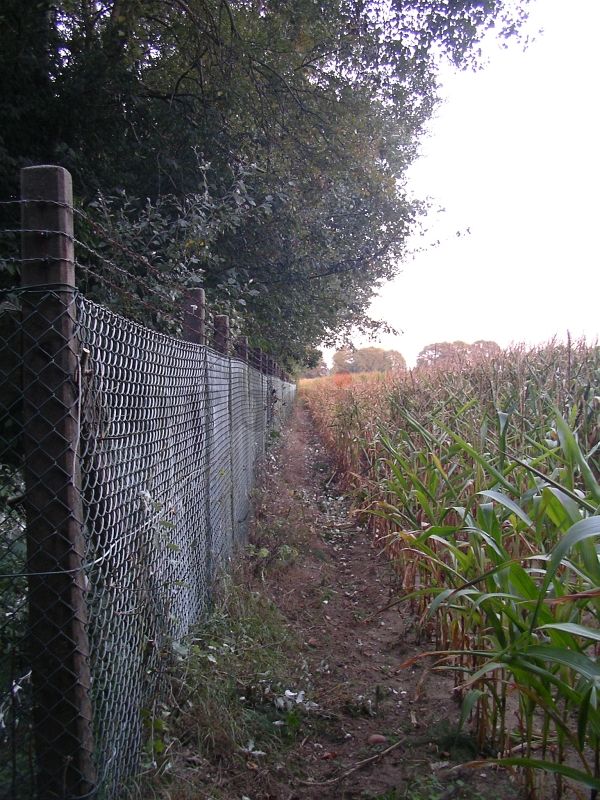 Äste und Sträucher, die durch den Zaun in das benachbarte Feld ragten, wurden entfernt.