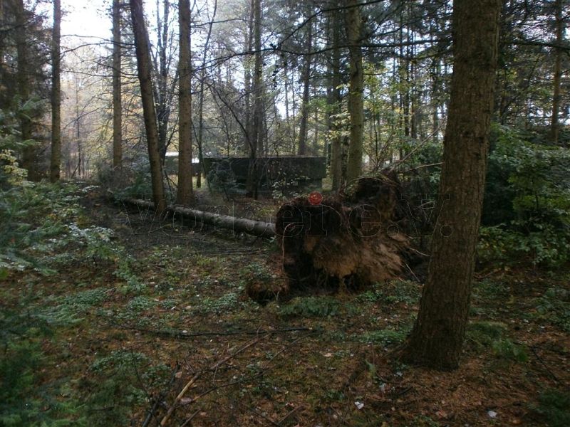Ein umgestürzter Baum auf dem GSVBw-Grundstück. In der Bildmitte befindet sich das Abluftbauwerk des Fernmeldebetriebsgebäudes (Objekt1).