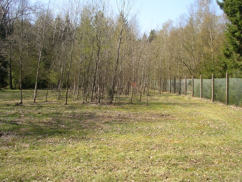 Das Einsatzgebiet des Aufsitzmähers: Die großen Grünflächen auf dem GSVBw-Gelände.