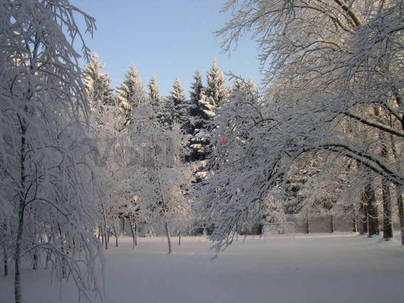 Winterimpressionen aus der GSVBw 22: Schneebedeckte Bäume auf der weißen Wiese.