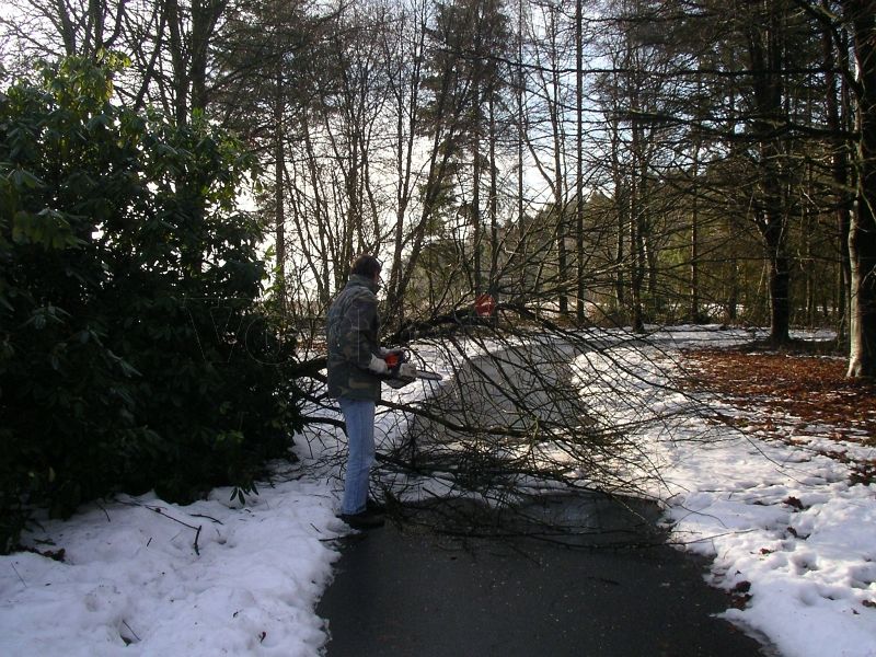 Ein umgestürzter Baum auf dem GSVBw-Gelände versperrt die Zuwegung zum Parkplatz und wird mit der Kettensäge zersägt.