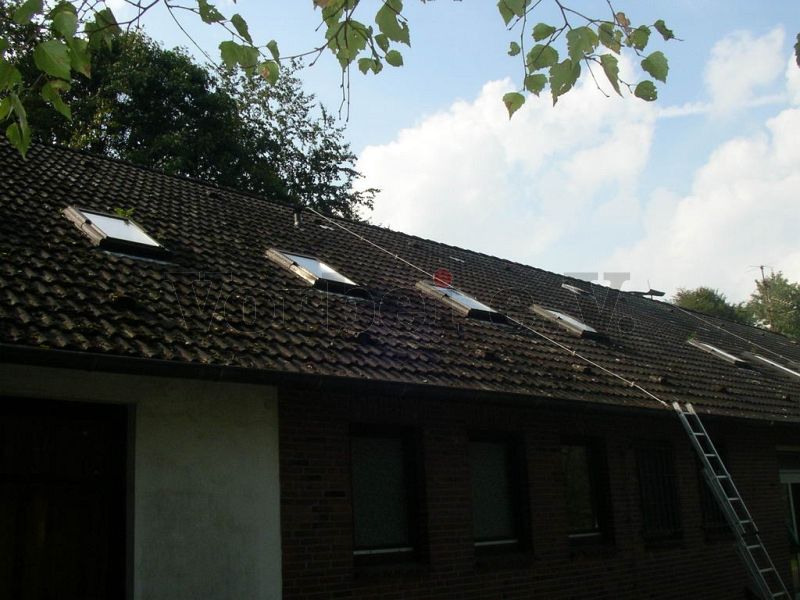 Starker Moosbewuchs bedeckt große Teile der Dachfläche.