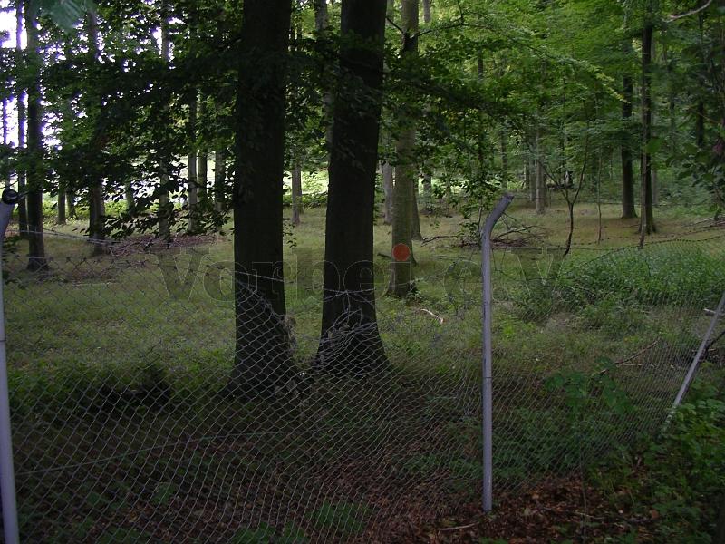 Zaun an der Waldseite.