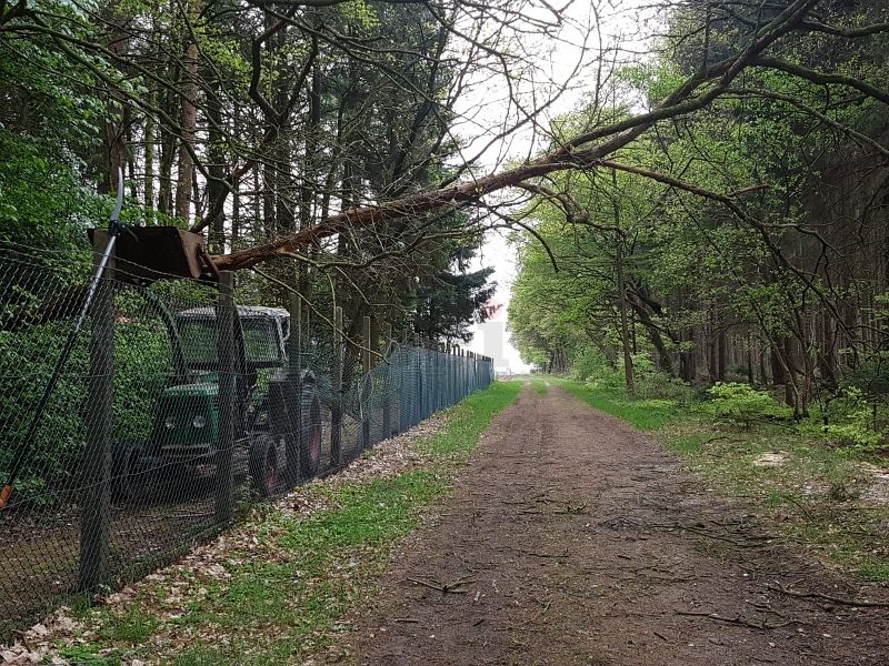 Durch Sturmeinwirkung ist ein Baum umgestürzt und hat die Zaunanlage der GSVBw 22 Elmlohe beschädigt.
