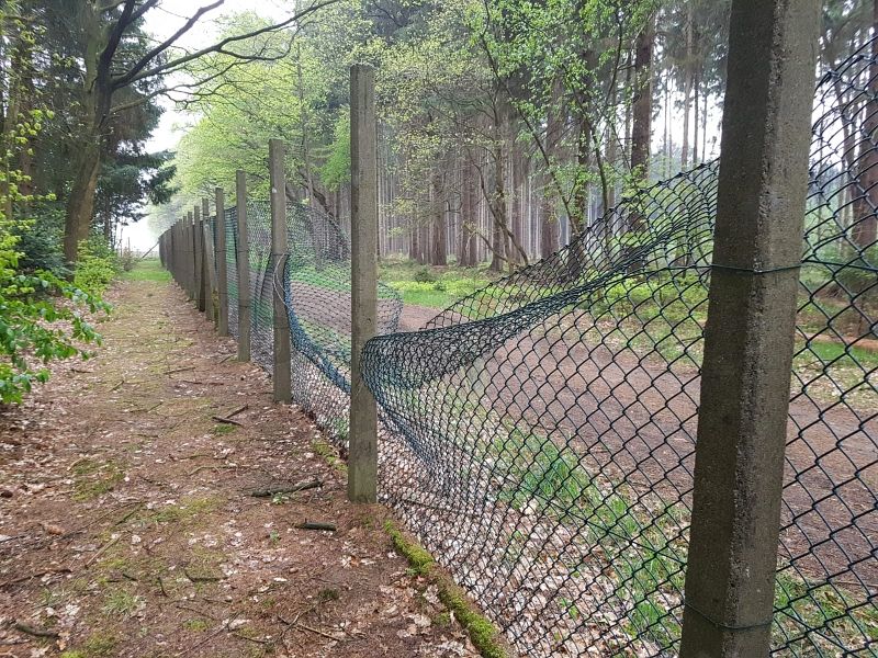 Beschädigter Zaun nach der Beseitigung des Baumes.