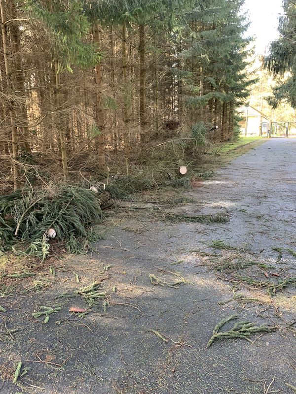 Das Foto zeigt, wie die Zufahrtsstraße zur GSVBw 22 durch einen umgestürzten Baum blockiert wurde. Ortsansässige Vereinsmitglieder haben den Baum bereits im Vorfeld beseitigt. Die GSVBw-Zufahrt ist somit wieder befahrbar.