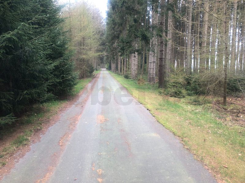 Die ca. 230 Meter lange Zufahrtsstraße zur GSVBw 22 führt durch ein Waldgebiet. Laub und Bruchholz wurden von der Fahrbahn entfernt.