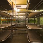 Aufenthaltsraum im Tiefbunker Ernst-August-Platz (Bahnhofsbunker) in der Landeshauptstadt Hannover. Diese Zivilschutzanlage bot 2.100 Schutzplätze für einen 14tägigen Aufenthalt. Aufenthaltsraum im Tiefbunker Ernst-August-Platz (Bahnhofsbunker) in der Landeshauptstadt Hannover. Diese Zivilschutzanlage bot 2.100 Schutzplätze für einen 14tägigen Aufenthalt.