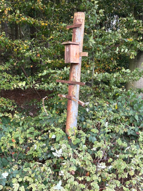 Über mehrere Jahrzehnte war dieser Mast den Wettereinflüssen ausgesetzt, sodass der ursprüngliche Anstrich nicht mehr erkennbar ist. Heute ist er stark verwittert und trägt einen Nistkasten. Der Mast hat viele Jahrzehnte Wind und Wetter getrotzt. Vom einstigen Anstrich ist nichts geblieben, stattdessen zeugen Verwitterungsspuren von seiner langen Standzeit. Heute erfüllt er eine neue Funktion: als Halterung für einen Nistkasten