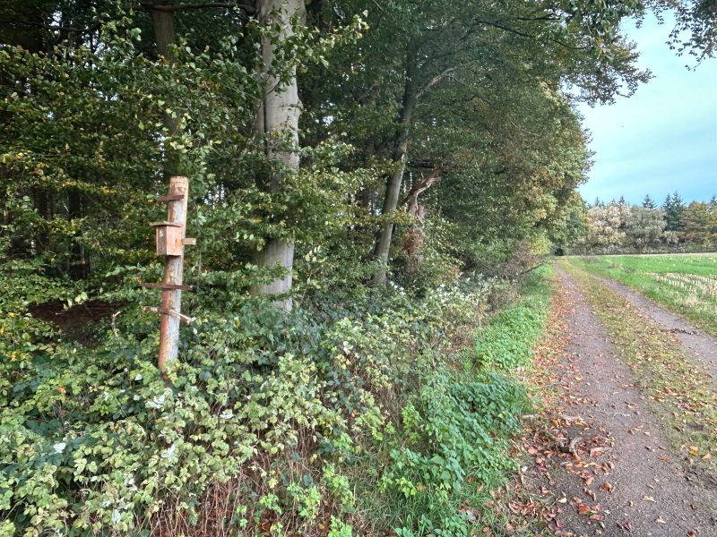 Der Mast, an dem in den 1960er-Jahren das Hinweisschild zum Weiterfahrtsverbot für Militärmissionen angebracht war, steht noch heute an einem Wirtschaftsweg am Waldrand. Der Abstand zum GSVBw-Gelände, das am rechten Bildrand zu sehen ist, verdeutlicht die Ausdehnung des ehemaligen Sperrgebietes. Noch heute erinnert ein alter Mast am Waldrand an die Zeit des Kalten Krieges: In den 1960er-Jahren war hier das Schild befestigt, das Militärmissionen die Weiterfahrt untersagte. Der Blick auf das weit entfernte GSVBw-Gelände am rechten Bildrand macht deutlich, wie groß das einstige Sperrgebiet war.