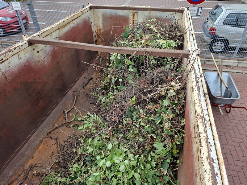 Da ist schon viel zusammengekommen: Blick in den bereits zum Teil gefüllten Grüngut-Container. Da ist schon viel zusammengekommen: Blick in den bereits zum Teil gefüllten Grüngut-Container.