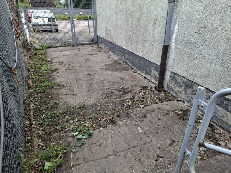 Der Sammelplatz nach Abschluss der Arbeiten: Das gesamte Schnittgut wurde in den Container verladen und wilde Brombeerpflanzen zurückgeschnitten. Der Sammelplatz nach Abschluss der Arbeiten: Das gesamte Schnittgut wurde in den Container verladen und wilde Brombeerpflanzen zurückgeschnitten.