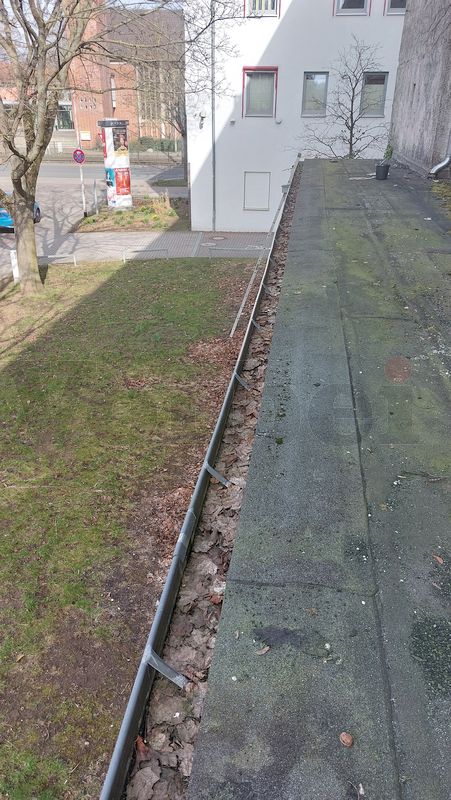 Mit Laub gefüllte Regenrinne vor Beginn der Reinigungsarbeiten. Mit Laub gefüllte Regenrinne vor Beginn der Reinigungsarbeiten.