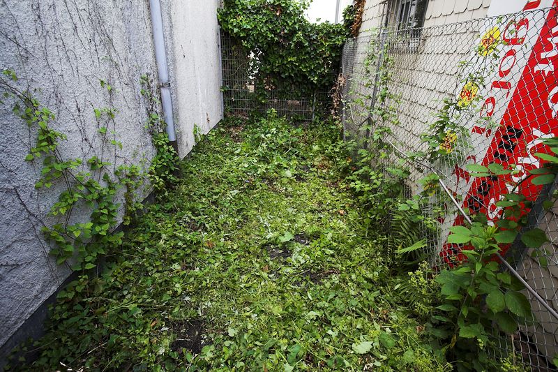 Auch der Wildwuchs auf der kleinen Grünfläche auf der Bunkerrückseite wurde zurückgeschnitten. Auch der Wildwuchs auf der kleinen Grünfläche auf der Bunkerrückseite wurde zurückgeschnitten.