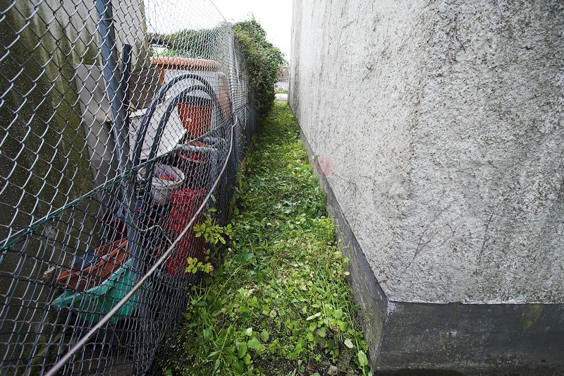 Der Betriebsweg am Filteranbau ist wieder problemlos begehbar. Der gesamte Wildwuchs wurde mit der akkubetriebenen Motorsense zurückgeschnitten. Der Betriebsweg am Filteranbau ist wieder problemlos begehbar. Der gesamte Wildwuchs wurde mit der akkubetriebenen Motorsense zurückgeschnitten.